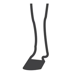 Legs